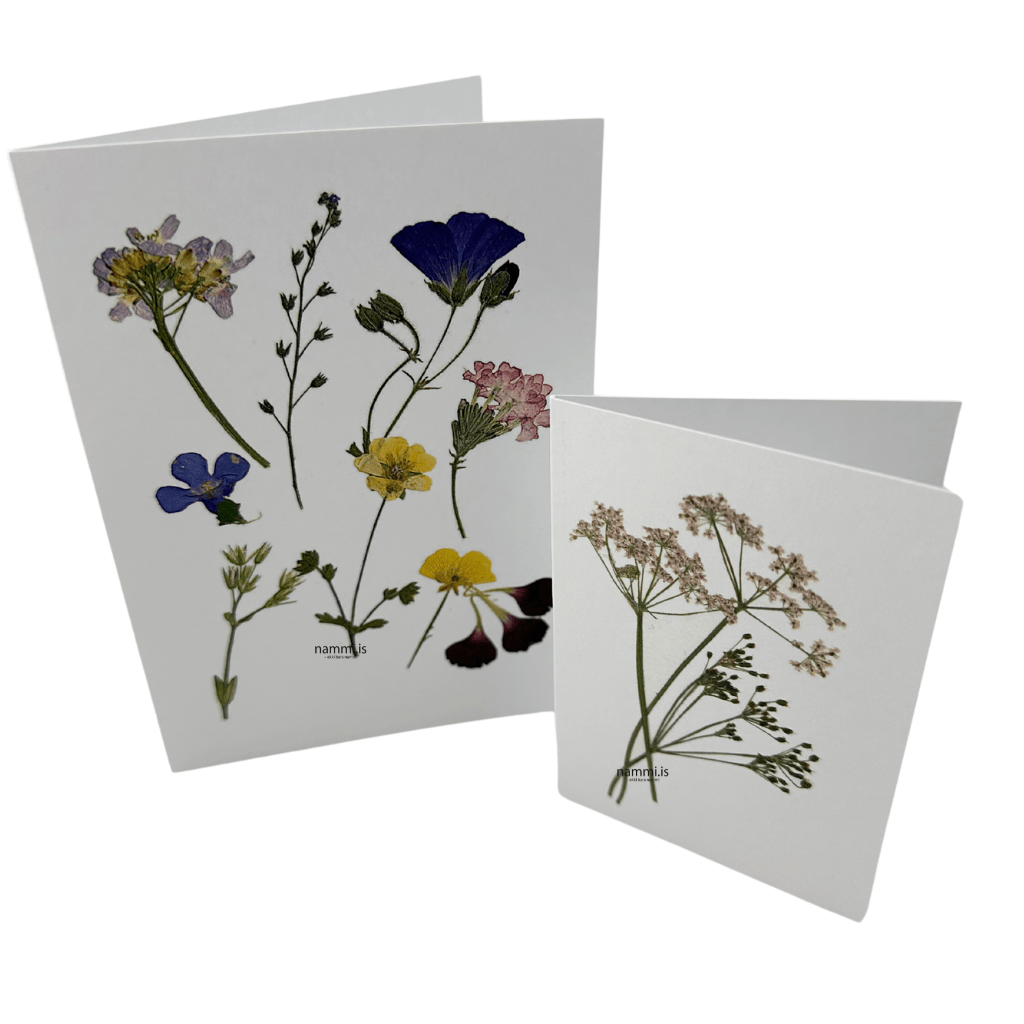 Greeting Cards (4 pc / B) - nammi.isnammi.is