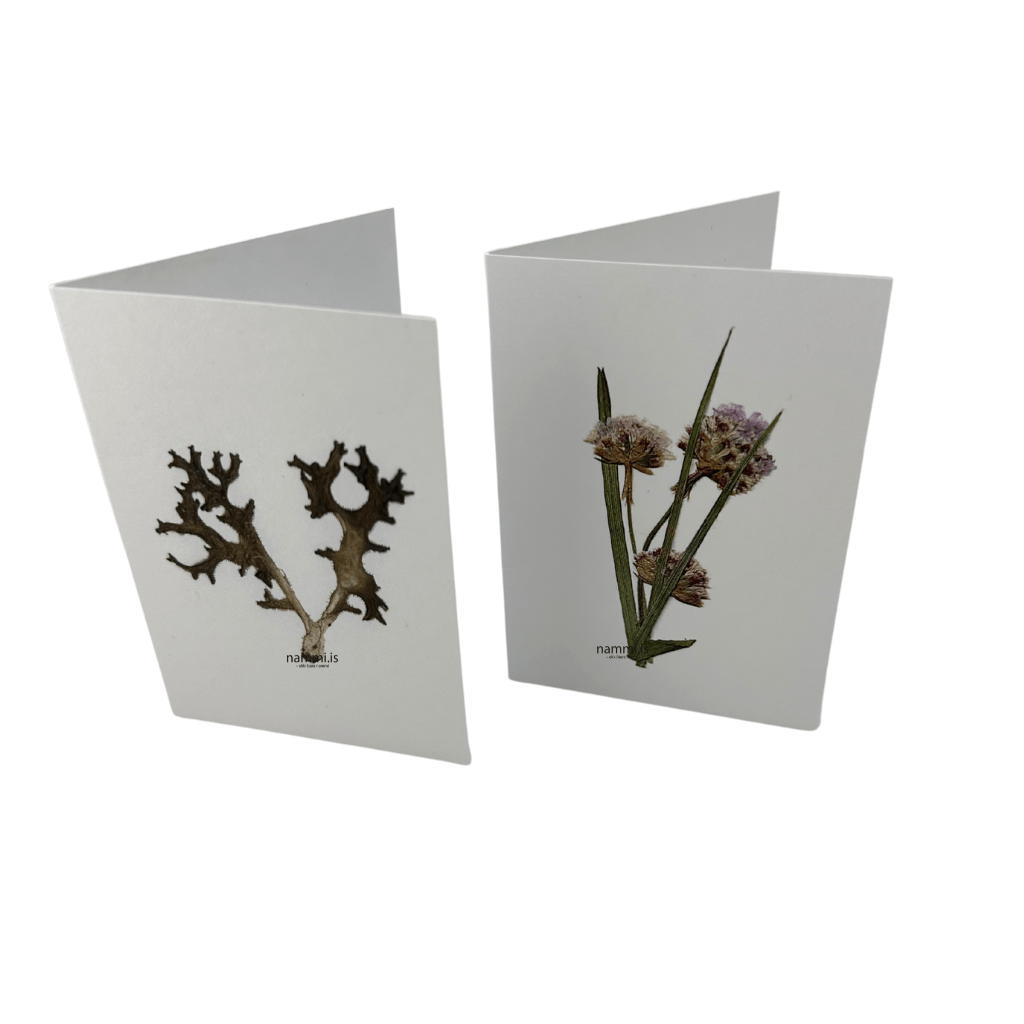 Greeting Cards (4 pc / C) - nammi.isnammi.is