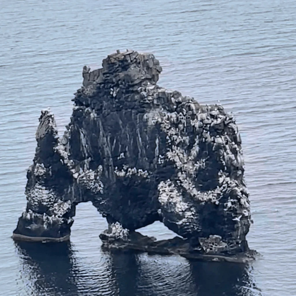 MY HVÍTSERKUR VASE / Anna Thorunn - nammi.isAnna Thorunn