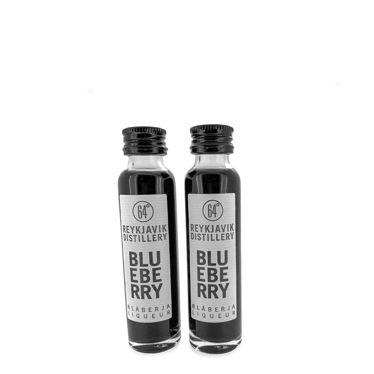 2 x Icelandic Blueberry liqueur 20 ml. - nammi.is