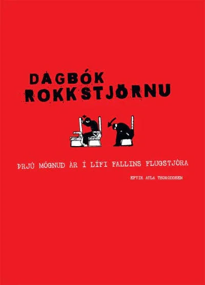 Dagbók rokkstjörnu Þrjú mögnuð ár í lífi fallins flugstjóra - nammi.is