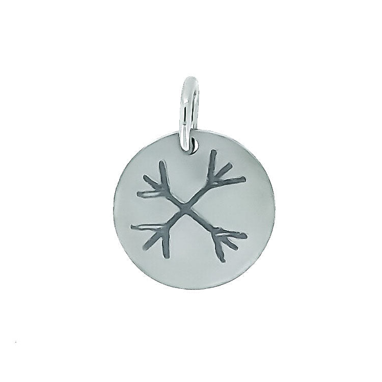 Helm of Awe - Titanium necklace, polished/matte - nammi.is