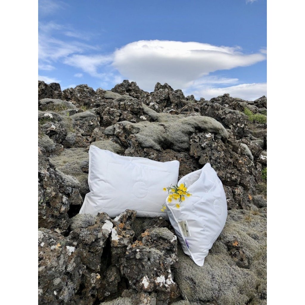 MOSI Pillow / 50 x 70 cm - nammi.isIcelandic Wool Duvet