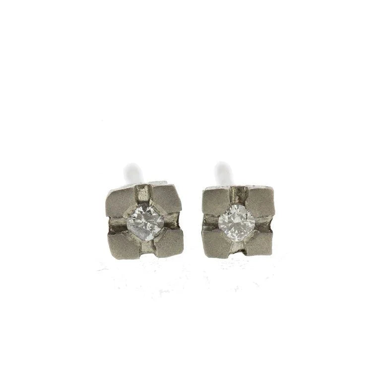 Princess Titanium Earrings w/ Diamond - nammi.is