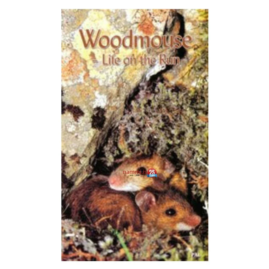 Wood mouse - Life on the Run / DVD - nammi.isBergvík