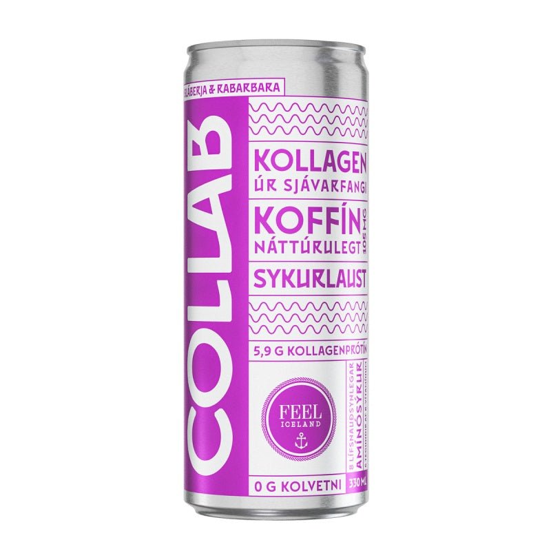 COLLAB Blueberry and Rhubarb / (330ml.) - nammi.isCollab