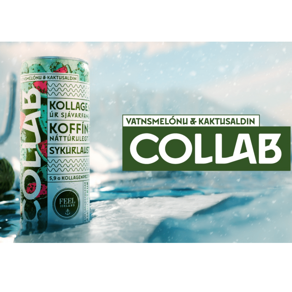 COLLAB Watermelon & Caktus Fruit / (330ml.) - nammi.isCollab