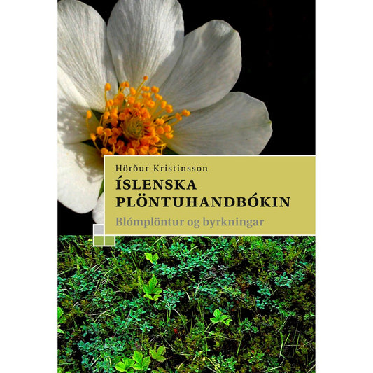 Flowering plants and ferns of Iceland / ÍSLENSKA PLÖNTUHANDBÓKIN - nammi.isEymundsson