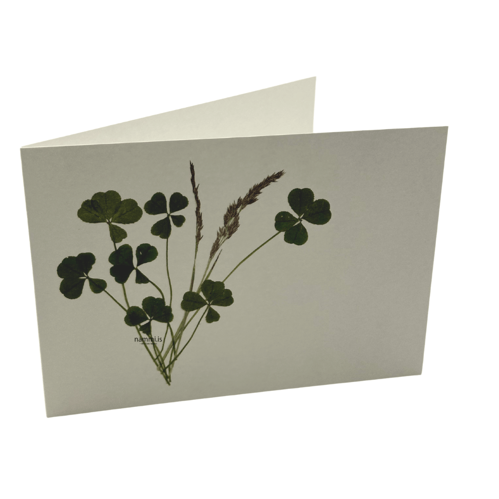 Greeting Cards (4 pc) - nammi.isnammi.is