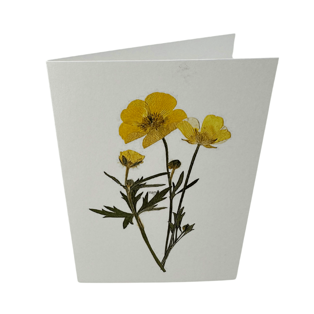 Greeting Cards (4 pc / A) - nammi.isnammi.is