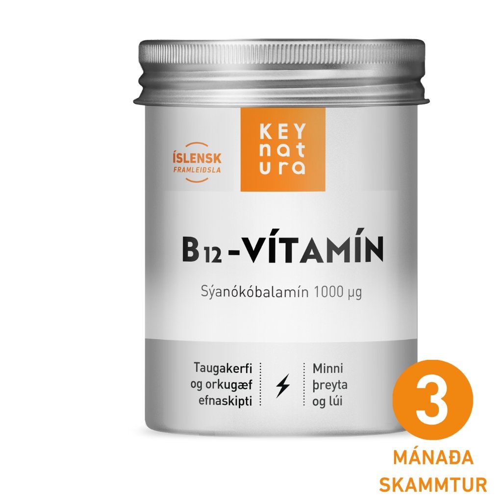 B12 Vitamin - 90 Capsules - nammi.is
