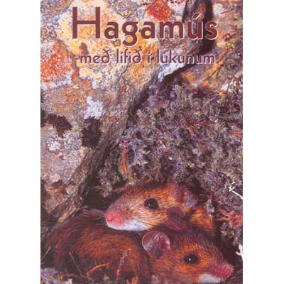 Hagamús / Woodmouse Life on the Run / DVD - nammi.is