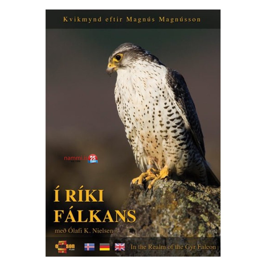 In the Realm of the Gyr Falcon / Í ríki Fálkans DVD - nammi.isBergvík