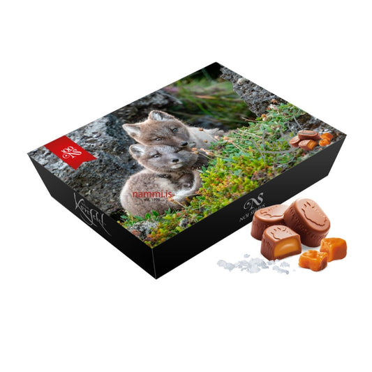 Nóa Fine Chocolate Fox Box (45 gr.) - nammi.is
